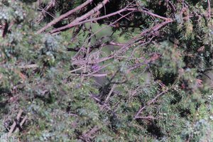 DSCF1190.JPG