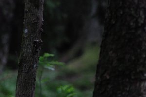 DSCF1194.JPG