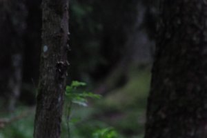 DSCF1197.JPG