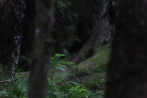 DSCF1205.JPG