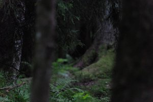 DSCF1206.JPG