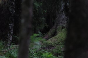DSCF1207.JPG