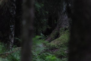 DSCF1208.JPG