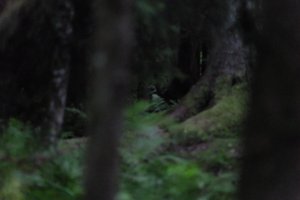 DSCF1210.JPG