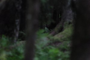 DSCF1211.JPG