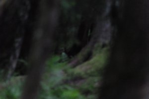 DSCF1212.JPG