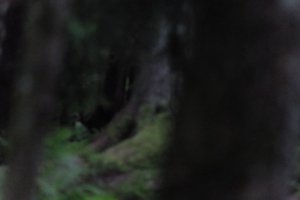 DSCF1213.JPG