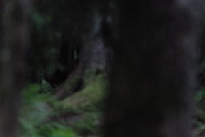 DSCF1214.JPG