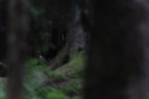 DSCF1215.JPG
