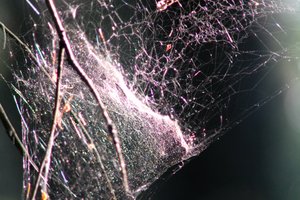 DSCF1223.JPG
