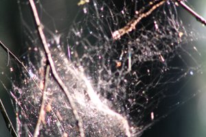 DSCF1228.JPG