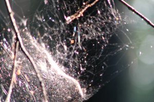 DSCF1230.JPG
