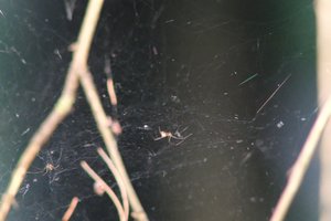 DSCF1235.JPG