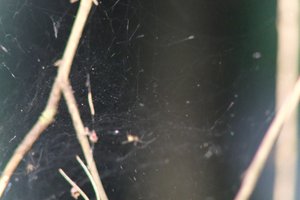 DSCF1241.JPG