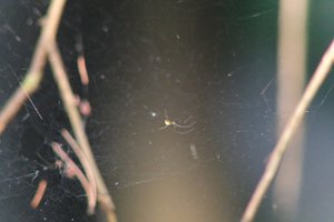 DSCF1247.JPG