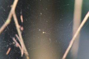 DSCF1248.JPG