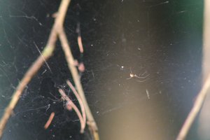 DSCF1251.JPG