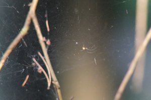 DSCF1255.JPG