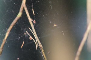 DSCF1258.JPG
