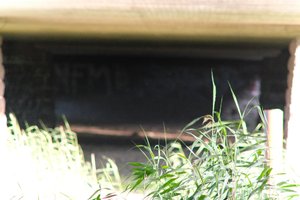 DSCF1306.JPG