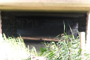 DSCF1307.JPG