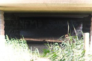 DSCF1309.JPG