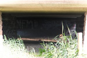 DSCF1310.JPG
