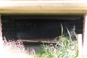 DSCF1311.JPG
