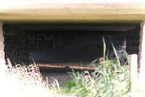 DSCF1312.JPG