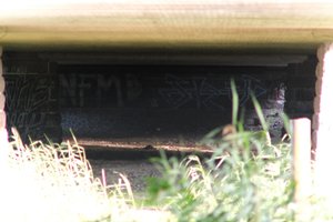 DSCF1313.JPG