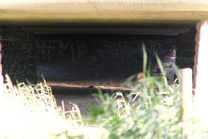 DSCF1314.JPG