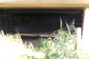 DSCF1315.JPG