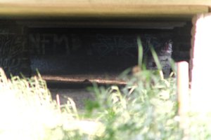DSCF1316.JPG