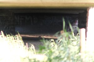 DSCF1317.JPG