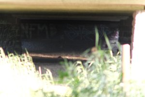 DSCF1318.JPG