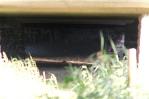 DSCF1319.JPG
