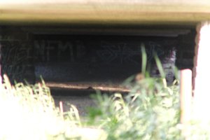 DSCF1320.JPG
