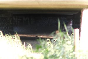 DSCF1321.JPG