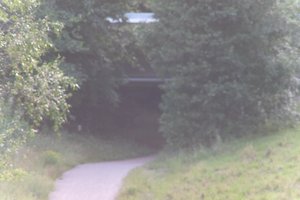 DSCF1325.JPG