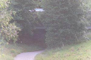 DSCF1330.JPG