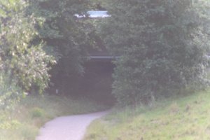DSCF1333.JPG