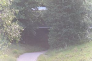 DSCF1334.JPG