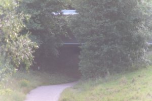 DSCF1335.JPG