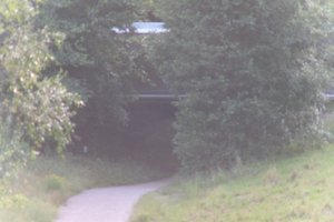 DSCF1337.JPG
