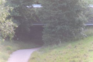DSCF1339.JPG