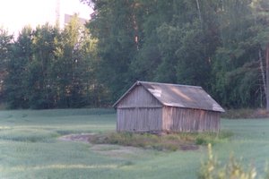 DSCF1353.JPG