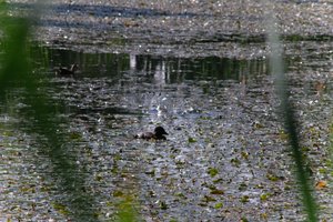 DSCF1398.JPG