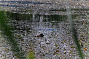 DSCF1401.JPG