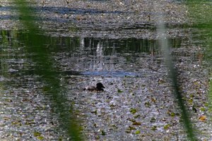 DSCF1405.JPG