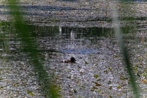 DSCF1407.JPG